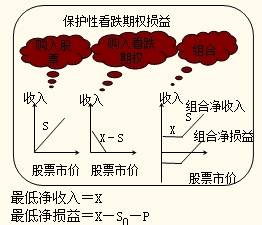 保護(hù)性看跌期權(quán)