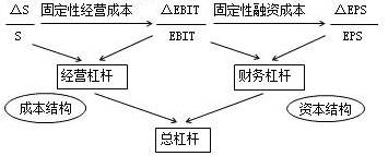 總杠桿