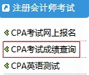 cpa成績(jī)查詢