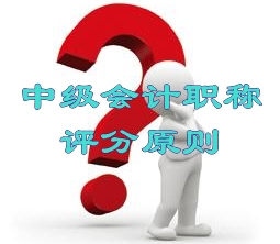 2015年中級(jí)會(huì)計(jì)師考試評(píng)分原則