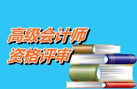 高級(jí)會(huì)計(jì)師資格評(píng)審工作總結(jié)及寫(xiě)作要求和建議