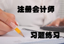 注冊會計(jì)師練習(xí)題精選