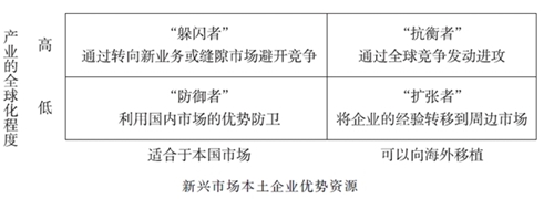 新興市場(chǎng)的企業(yè)戰(zhàn)略