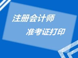 2015年注冊會計師專業(yè)階段考試準考證打印