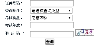 湖南2015年高級(jí)會(huì)計(jì)師考試成績(jī)查詢?nèi)肟谝验_(kāi)通