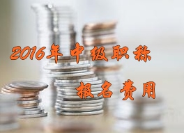 2016年中級(jí)會(huì)計(jì)職稱考試報(bào)名費(fèi)用