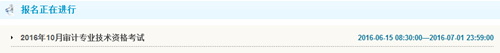 甘肅2016年初級(jí)審計(jì)師考試報(bào)名入口