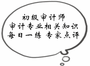 初級審計(jì)師《審計(jì)專業(yè)相關(guān)知識》易錯題點(diǎn)評