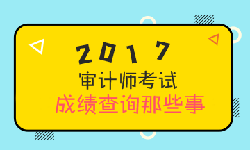 2017年審計(jì)師考試成績(jī)查詢 你需要知道這些