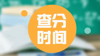 廣東省2017年稅務(wù)師考試成績查詢時(shí)間