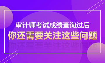 廣東2017年審計師考試考后資格復(fù)核時間