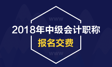 浙江2018年中級(jí)會(huì)計(jì)職稱考試報(bào)名費(fèi)