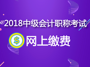 廣東省直2018年中級會計職稱網(wǎng)上繳費