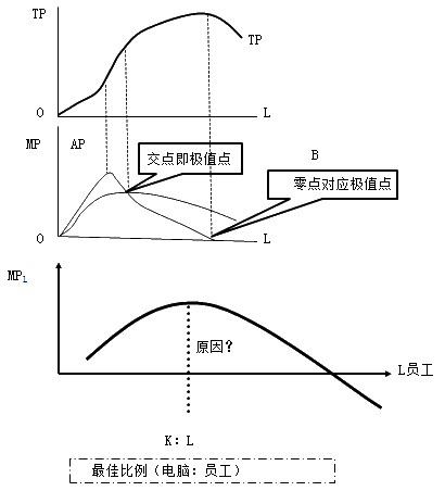 總產(chǎn)量、平均產(chǎn)量和邊際產(chǎn)量曲線