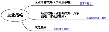 企業(yè)戰(zhàn)略管理的要素、體系與過(guò)程6