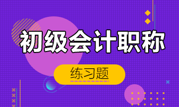 初級(jí)會(huì)計(jì)職稱(chēng)練習(xí)題