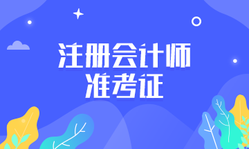 注冊會計師準(zhǔn)考證打印