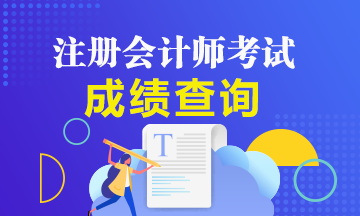 廣東廣州2019年注冊(cè)會(huì)計(jì)師成績查詢時(shí)間