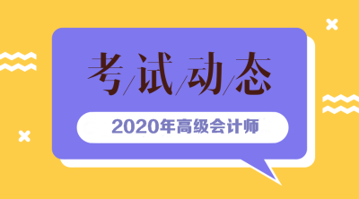 2020高級(jí)會(huì)計(jì)師