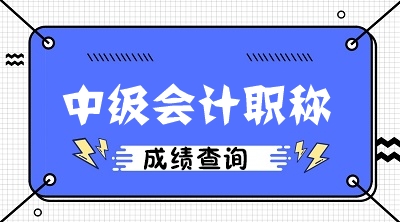 湖北2020年會計中級考試查分入口公布了嗎？