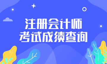 2019年注會成績什么時候查詢？