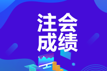 2019注會(huì)年成績查詢時(shí)間