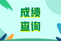 2019中級(jí)審計(jì)師考試成績(jī)查詢(xún)