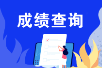 什么條件能申請2019注會成績復核？