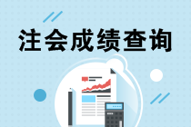 2019注會考試成績什么時候出來？