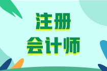 山東2020年注冊(cè)會(huì)計(jì)師考試課程