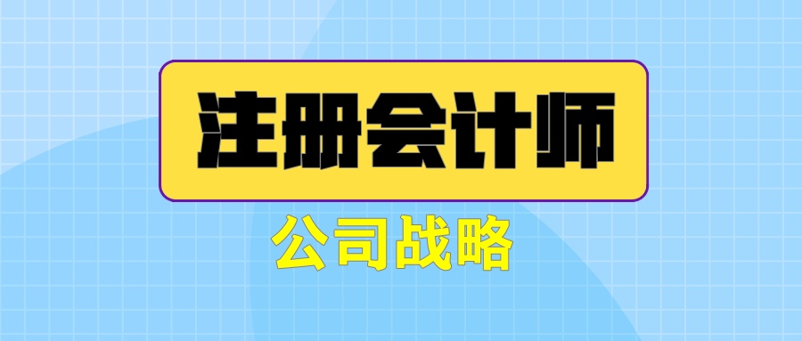 注冊會計師《公司戰(zhàn)略》練習(xí)題