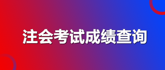 天津注冊(cè)會(huì)計(jì)師考試成績(jī)查詢(xún)