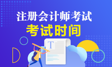 2020年cpa專業(yè)階段考試時間安排公布了嗎？