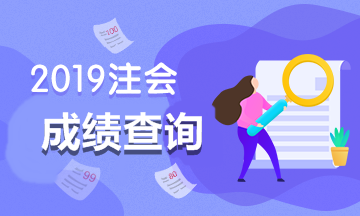 江蘇南京2019注會(huì)考試成績(jī)查詢(xún)