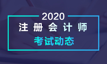 黑龍江2020年注會考試考什么？