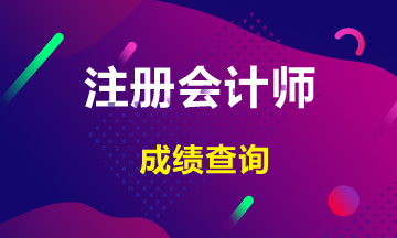 湖南長沙注冊會計師考試成績查詢