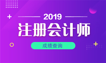 山東濟南注冊會計師考試成績查詢