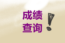 四川2019年高會考試成績查詢步驟