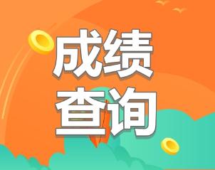 初級經(jīng)濟(jì)師2019成績查詢時(shí)間公布了嗎？