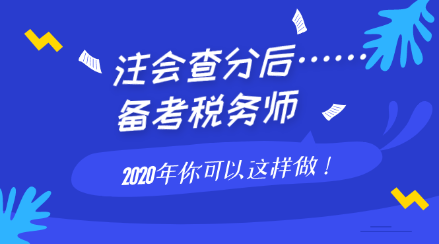 注會查分后備考稅務師