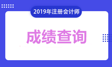 2019年遼寧注會(huì)考試成績(jī)可以查詢了！