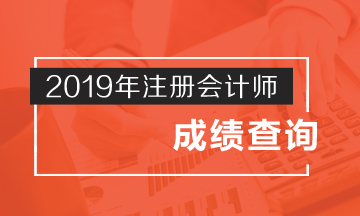 山東棗莊注冊會計師成績查詢