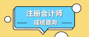 甘肅慶陽注會2019年成績查詢