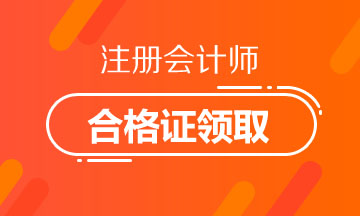 廣東2019注冊會計師證書領(lǐng)取時間