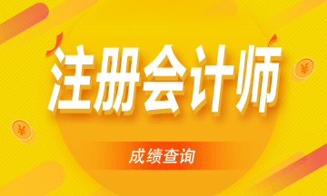 福建莆田注冊會計師成績查詢