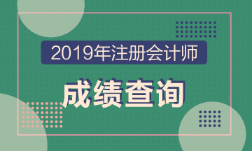 2019年河南南陽CPA成績查詢