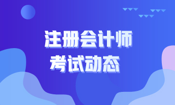 西藏的朋友們了解注冊會計師怎么搭配科目考試嗎？