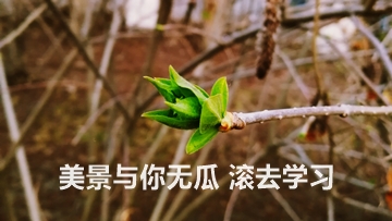 為了高考 我們不能只讀高三！為了考過(guò)CPA 也不能只等4月份！