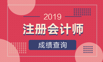 青海2019年注會(huì)考試成績(jī)查詢