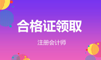 河北CPA專業(yè)階段合格證